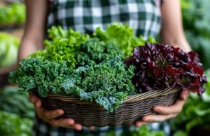 Les avantages de consommer des légumes feuillus pour la santé