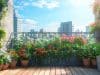 Jardinage urbain : idées pour un potager en appartement