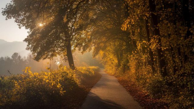 1757062106-le-guide-pour-attirer-les-energies-positives-et-la-chance-dans-votre-vie-cet-automne.jpg Le guide pour attirer les énergies positives et la chance dans votre vie cet automne